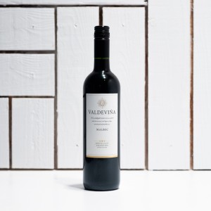 Valdevina Malbec 2020 - £8.95 - Experience Wine